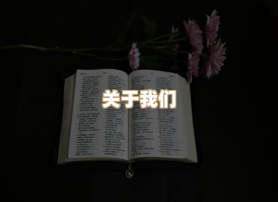 关于黛涛书单库